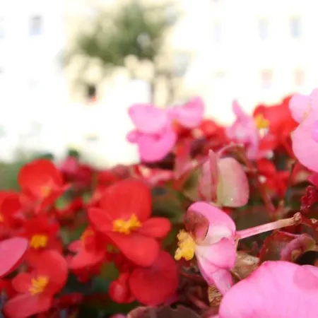 Zentrale Mit Gartennutzung *
